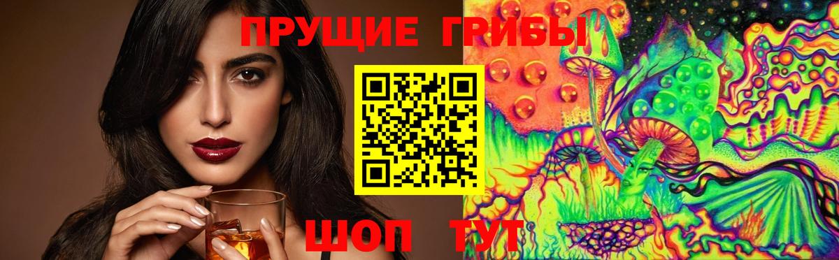 Псилоцибиновые грибы мухоморы  купить наркотик  Киреевск  Псилоцибиновые грибы мицелий  Вход с VPN 