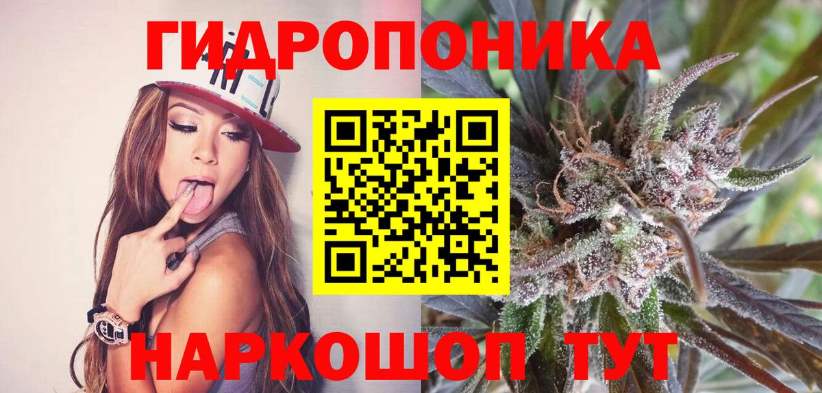 Бошки Шишки план Киреевск